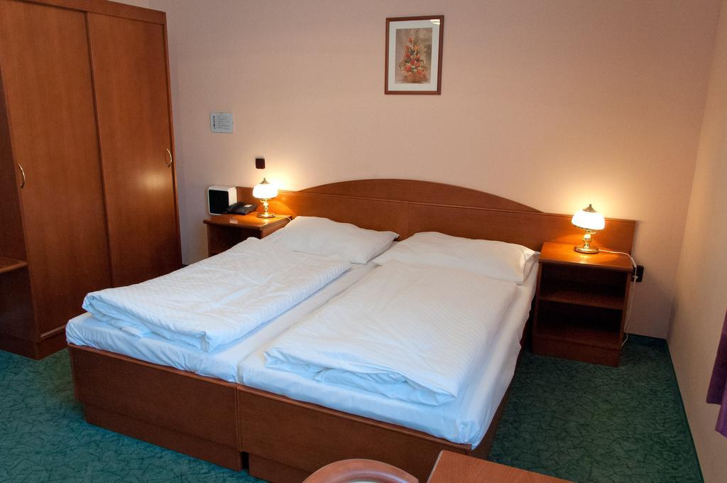 Penzion Harmonie Chodov  Room photo